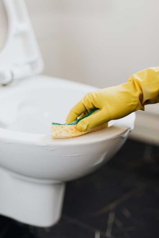 The Comprehensive Guide to Removing Different Types of Toilet Stains